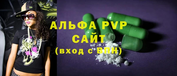 индика Медногорск
