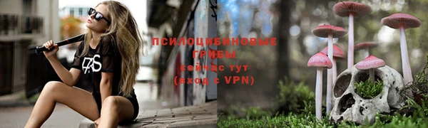 индика Медногорск