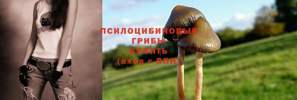 индика Медногорск