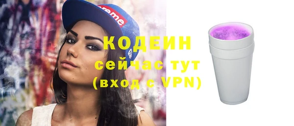 индика Медногорск