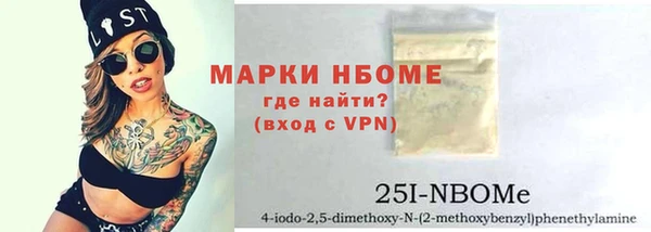 индика Медногорск