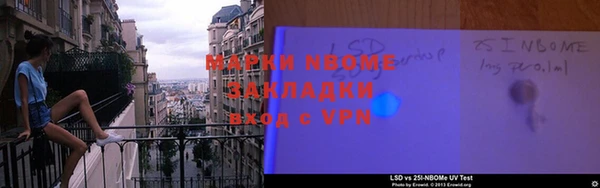 индика Медногорск