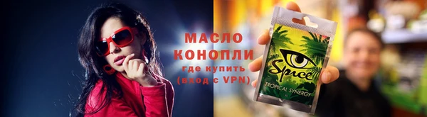 индика Медногорск