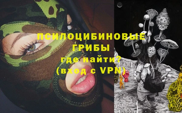 винт Медвежьегорск