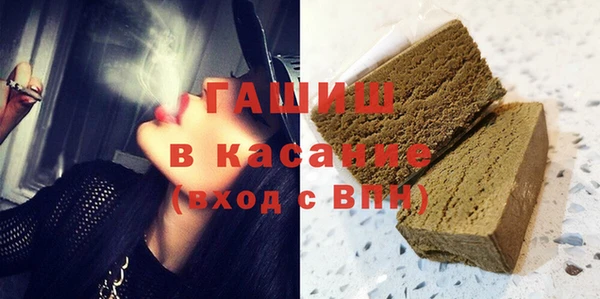индика Медногорск