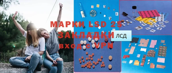 индика Медногорск