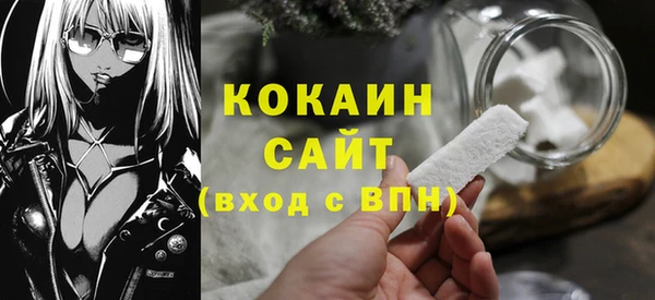 индика Медногорск