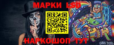 дмт Гатчина