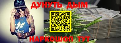 дмт Гатчина