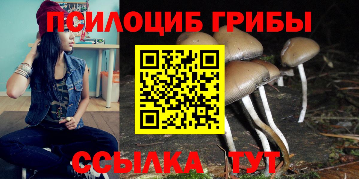 Псилоцибиновые грибы GOLDEN TEACHER  Вход с VPN  Петровск 