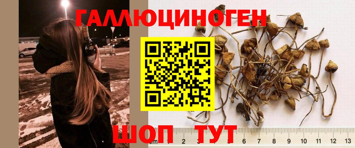 Галлюциногенные грибы GOLDEN TEACHER Петровск