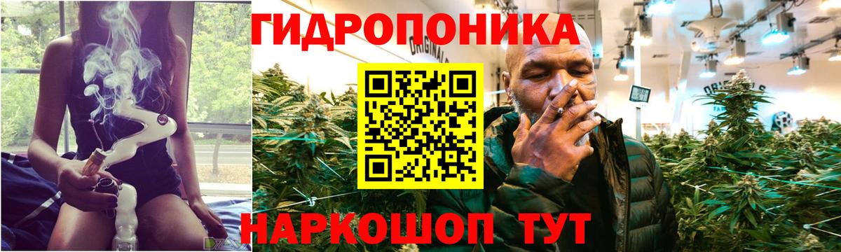 Канабис планчик  Вход с VPN  Конопля план  МАРИХУАНА планчик  Петровск 